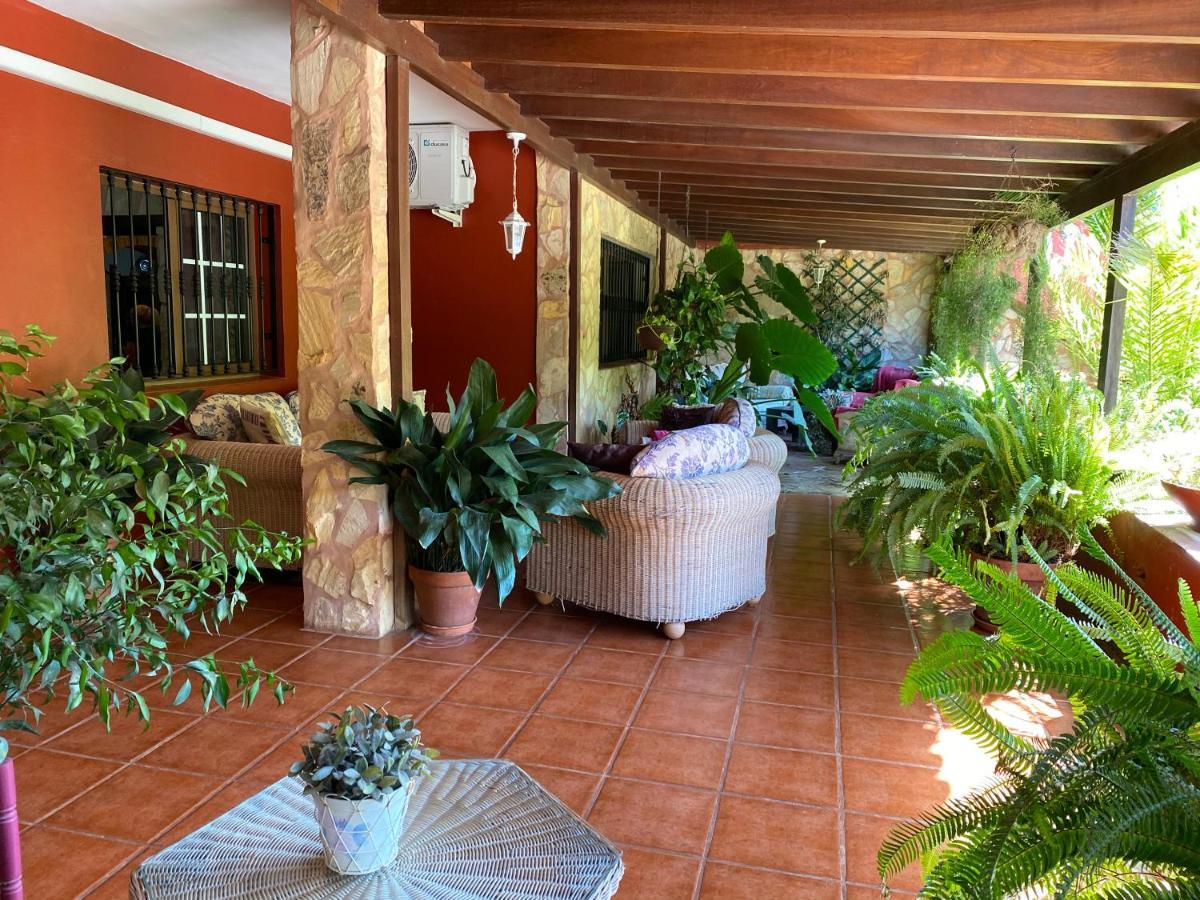 Casa Lazaro, Tegueste Екстер'єр фото