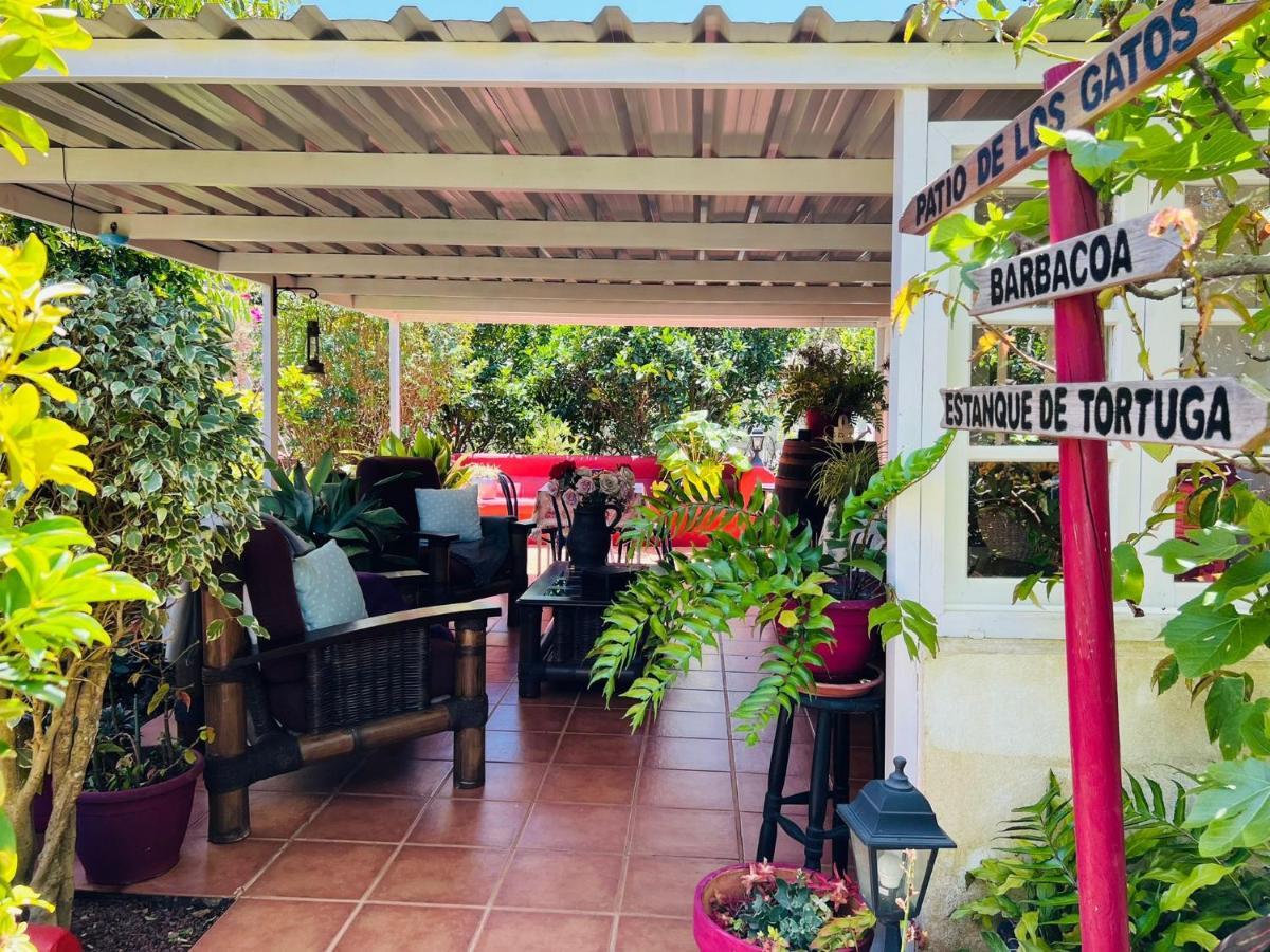Casa Lazaro, Tegueste Екстер'єр фото
